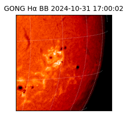 gong - 2024-10-31T17:00:02