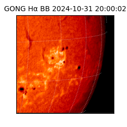gong - 2024-10-31T20:00:02