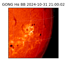 gong - 2024-10-31T21:00:02