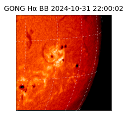 gong - 2024-10-31T22:00:02