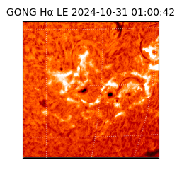 gong - 2024-10-31T01:00:42