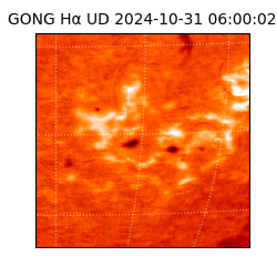 gong - 2024-10-31T06:00:02