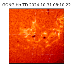 gong - 2024-10-31T08:10:22