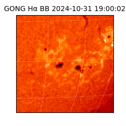 gong - 2024-10-31T19:00:02