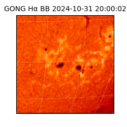 gong - 2024-10-31T20:00:02