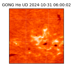 gong - 2024-10-31T06:00:02