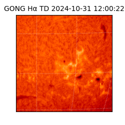 gong - 2024-10-31T12:00:22