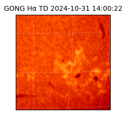 gong - 2024-10-31T14:00:22