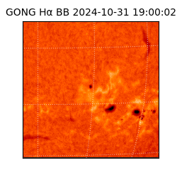 gong - 2024-10-31T19:00:02