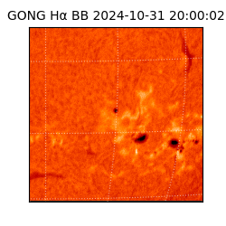gong - 2024-10-31T20:00:02