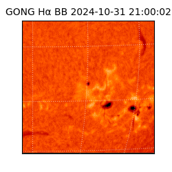 gong - 2024-10-31T21:00:02