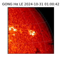 gong - 2024-10-31T01:00:42