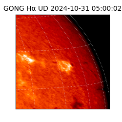 gong - 2024-10-31T05:00:02