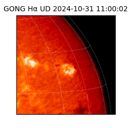 gong - 2024-10-31T11:00:02