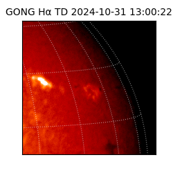 gong - 2024-10-31T13:00:22