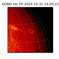 gong - 2024-10-31T14:00:22