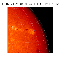 gong - 2024-10-31T15:05:02