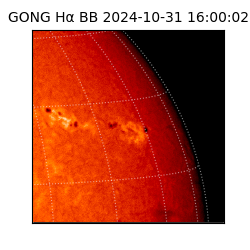 gong - 2024-10-31T16:00:02