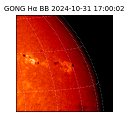 gong - 2024-10-31T17:00:02