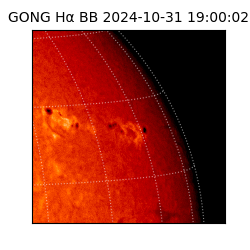 gong - 2024-10-31T19:00:02