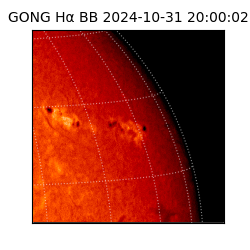 gong - 2024-10-31T20:00:02