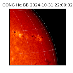 gong - 2024-10-31T22:00:02