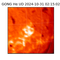 gong - 2024-10-31T02:15:02