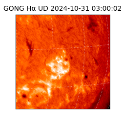 gong - 2024-10-31T03:00:02