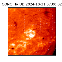 gong - 2024-10-31T07:00:02