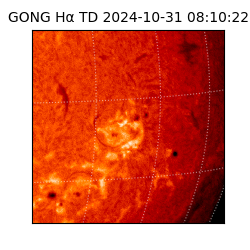 gong - 2024-10-31T08:10:22
