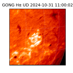 gong - 2024-10-31T11:00:02