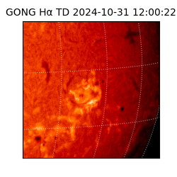 gong - 2024-10-31T12:00:22