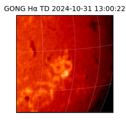 gong - 2024-10-31T13:00:22