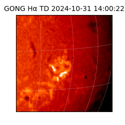 gong - 2024-10-31T14:00:22