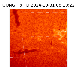 gong - 2024-10-31T08:10:22