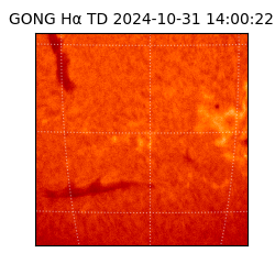 gong - 2024-10-31T14:00:22