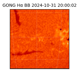 gong - 2024-10-31T20:00:02