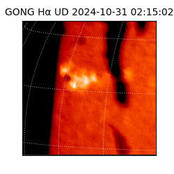 gong - 2024-10-31T02:15:02