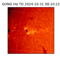 gong - 2024-10-31T08:10:22