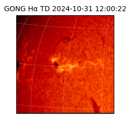 gong - 2024-10-31T12:00:22