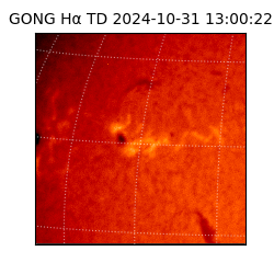 gong - 2024-10-31T13:00:22