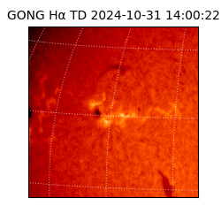 gong - 2024-10-31T14:00:22