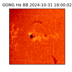 gong - 2024-10-31T18:00:02