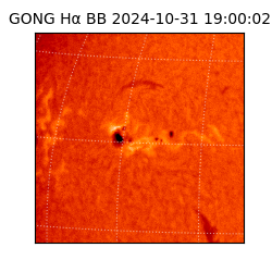 gong - 2024-10-31T19:00:02