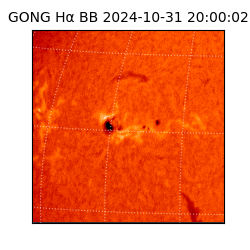 gong - 2024-10-31T20:00:02