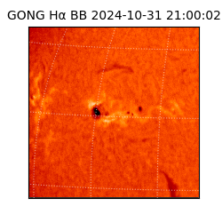 gong - 2024-10-31T21:00:02