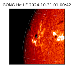 gong - 2024-10-31T01:00:42