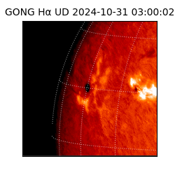 gong - 2024-10-31T03:00:02