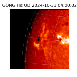 gong - 2024-10-31T04:00:02