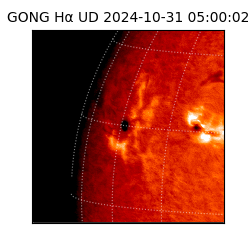 gong - 2024-10-31T05:00:02